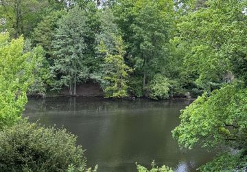 Ausblick auf den Hubertussee