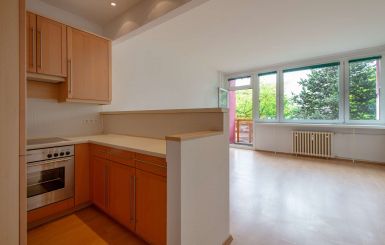 Küche mit Blick ins Wohnzimmer