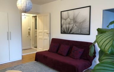 Wohnraum Richtung Bad und Tür