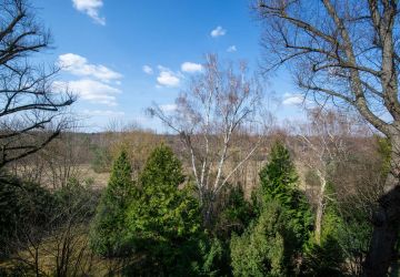 Weitläufiger Ausblick mit Blick auf den Teufelsberg